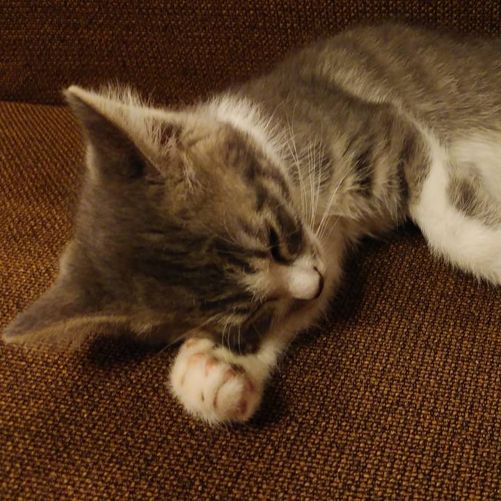 B9d96b97 cb12 4122 b1d0 3009ddb628f5 1561461381026