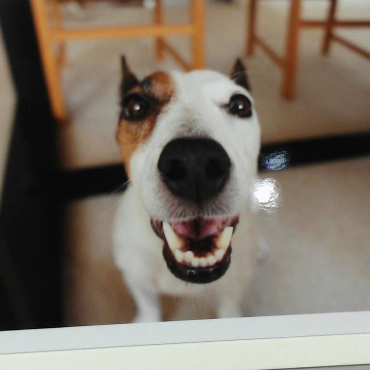 B9d99889 f823 43a1 b0fe 97c314e2e813 1526022616714