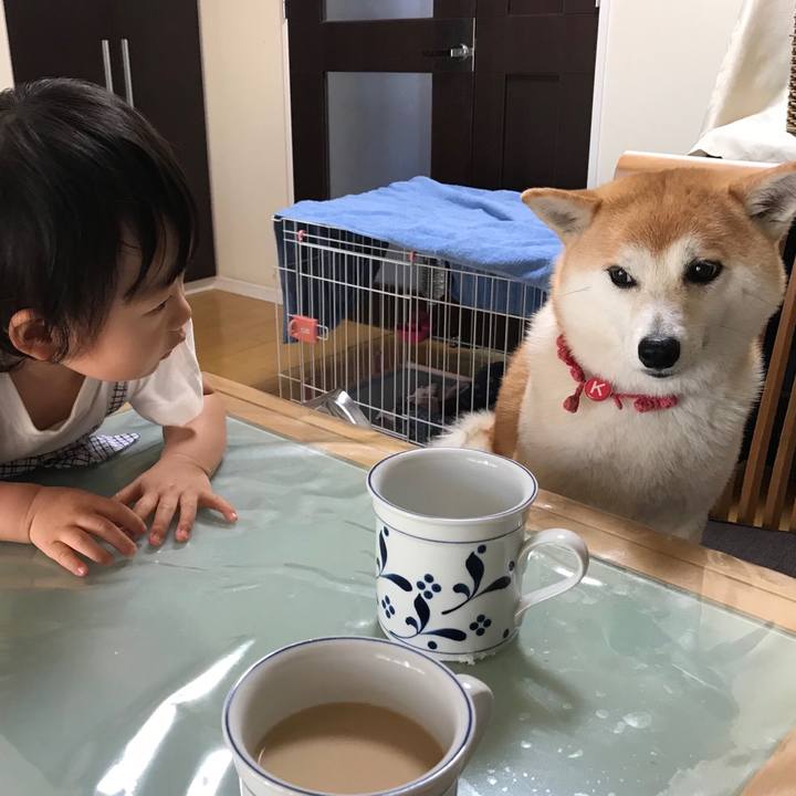 B9d9a76a c319 4628 847a 71c84b914a1a 1563185727463