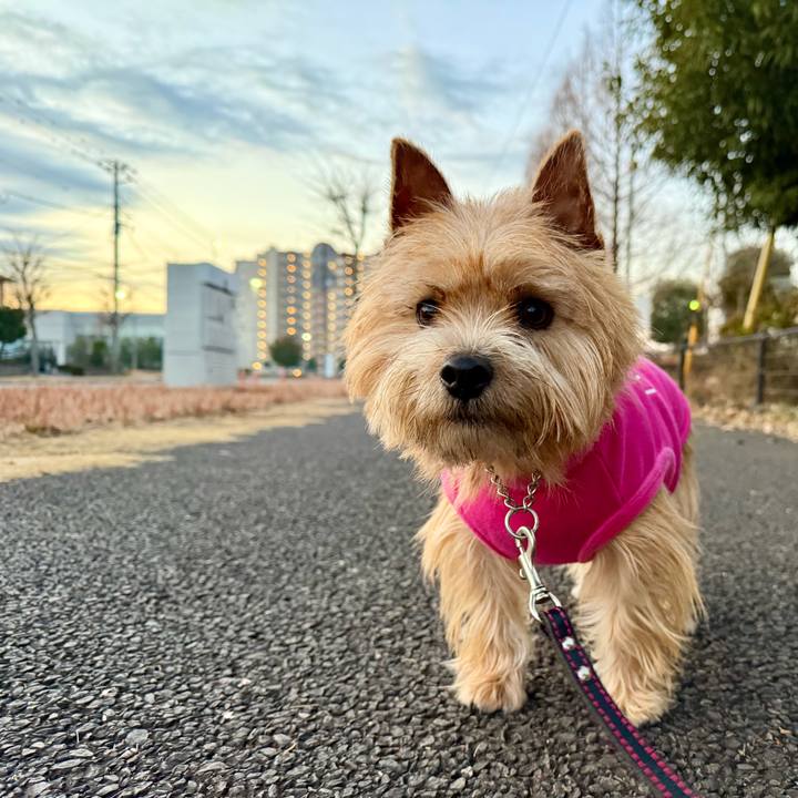 B9d9bb8e 9ebe 4c6c 9675 2e78d2e2e2ab 1767162081108