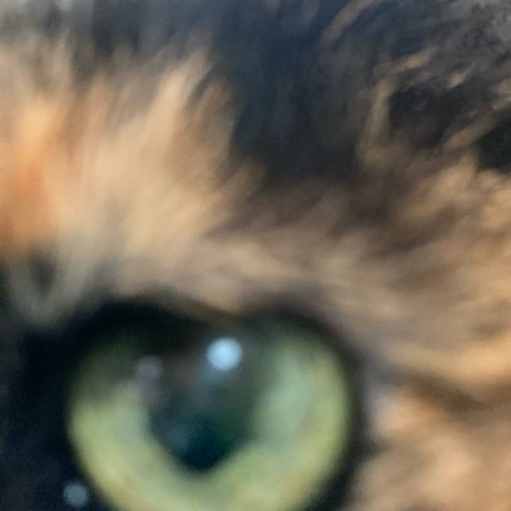 B9d9cb55 f75a 4bc8 9b03 178469a4f8fb 1616817563838