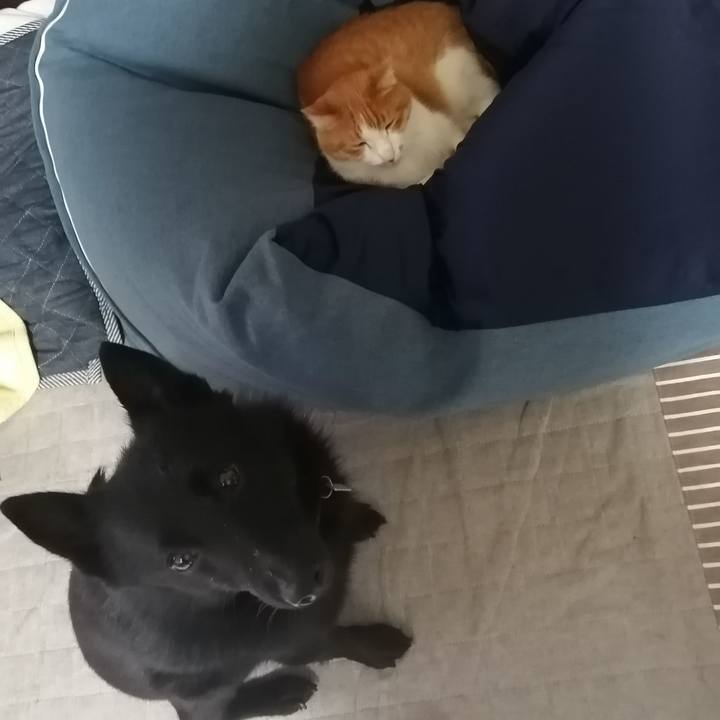 B9d9d231 86b9 4a13 b5c8 0b7d7bd0ab2c 1618664163765