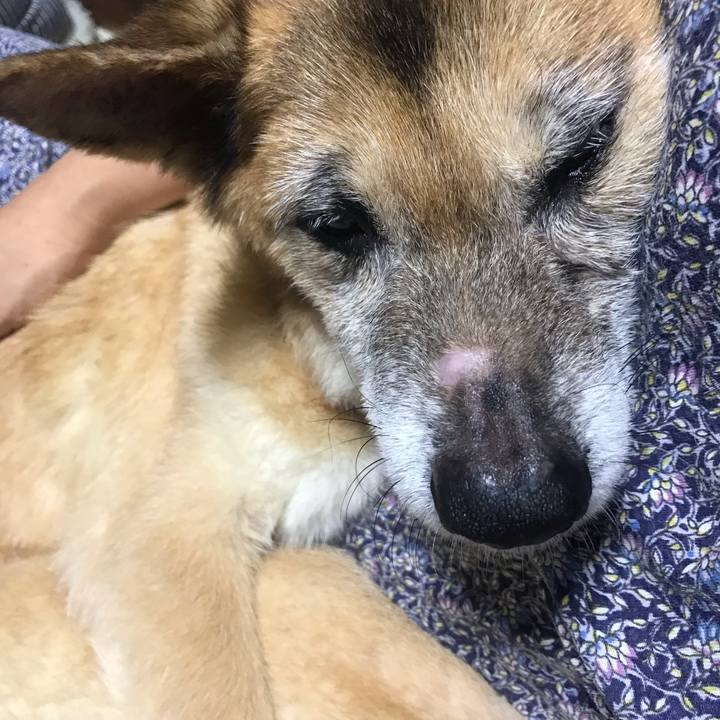 B9da3010 f9c0 4d4f b59e fa0e64034d80 1567421454922