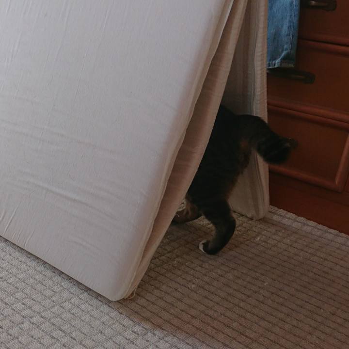 B9da72fd 491b 44bd bce5 be9da07824ff 1605620648725