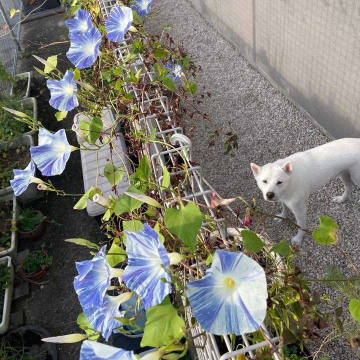 B9da868c a915 4534 bcba 47f5a65a8a6d 1665050462844