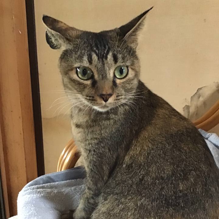 B9da8f3d 7626 4403 a28b cf0345d0d4bc 1630568771842