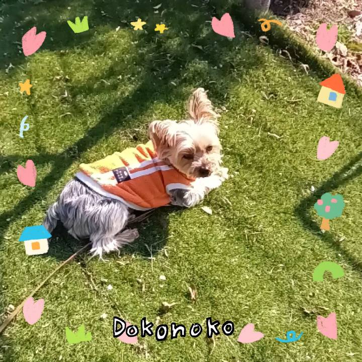 B9daad53 8d3c 4af9 a5d5 dbb748a04726 1741601359105