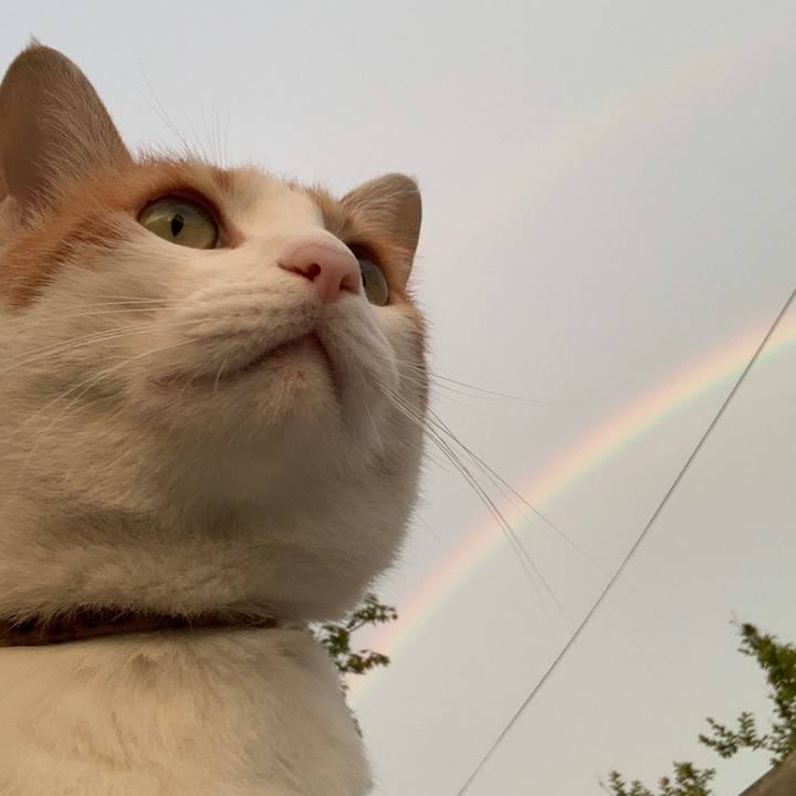 B9dac93f 8947 4cdb 97da 8845971daf5c 1621245071450