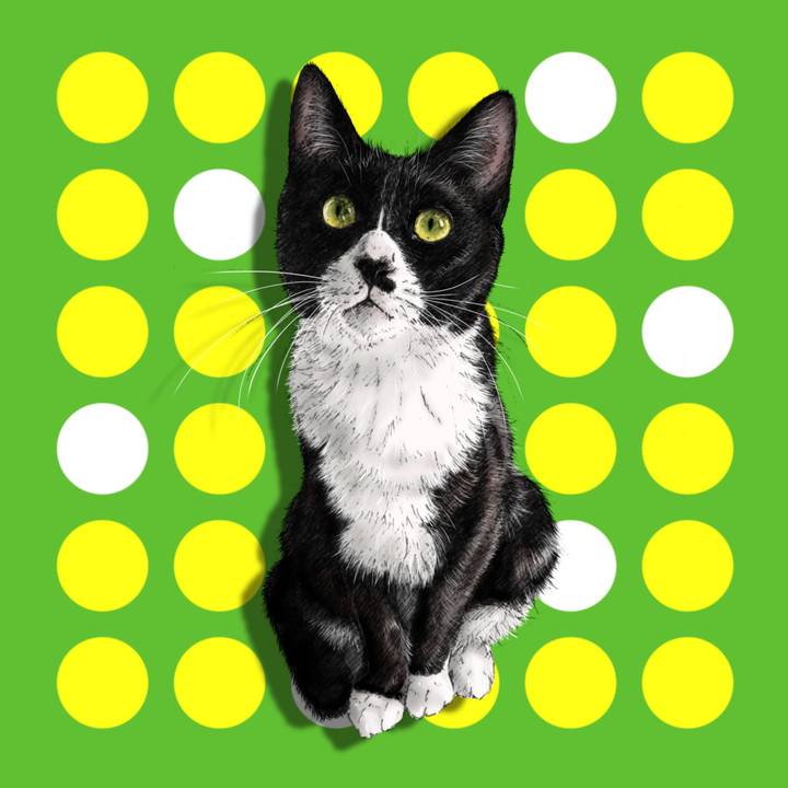 B9dae71d fb4a 400c bf8f c1f0e3438254 1646748426550