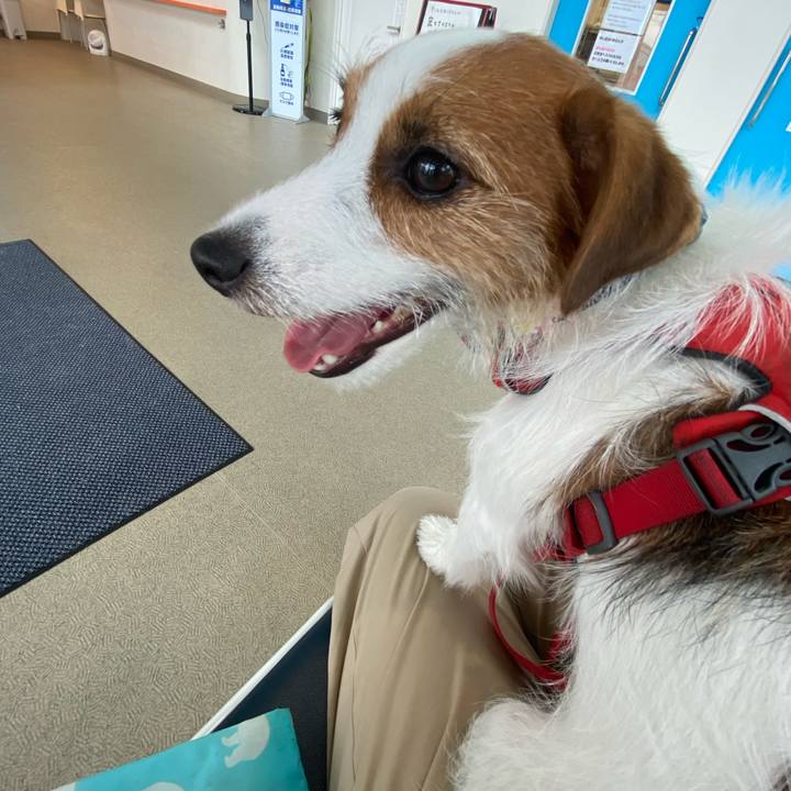 B9daeadd 9145 4997 b9c2 24943f3eef07 1663568462849