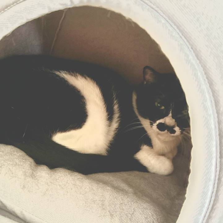 B9daf890 e4b1 49b8 b7b9 0fb46142592b 1723685058273