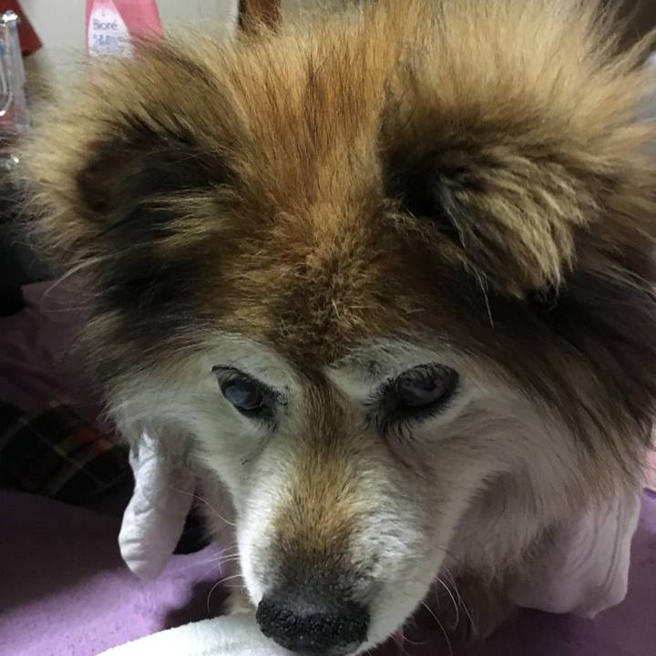 B9dafd11 2899 4dee a6d4 a3da4ca77071 1570065172409