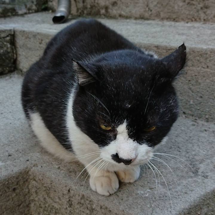 B9db1665 cb93 423e aa16 4d9ac0d5003f 1644379078541