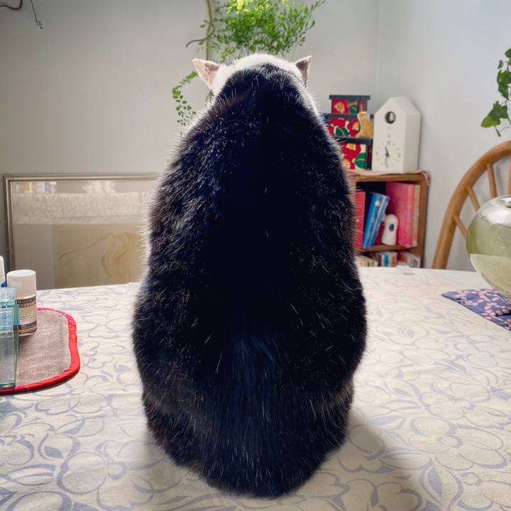 B9db4057 49ec 48cd 9a27 1b0879c5c488 1604378406421