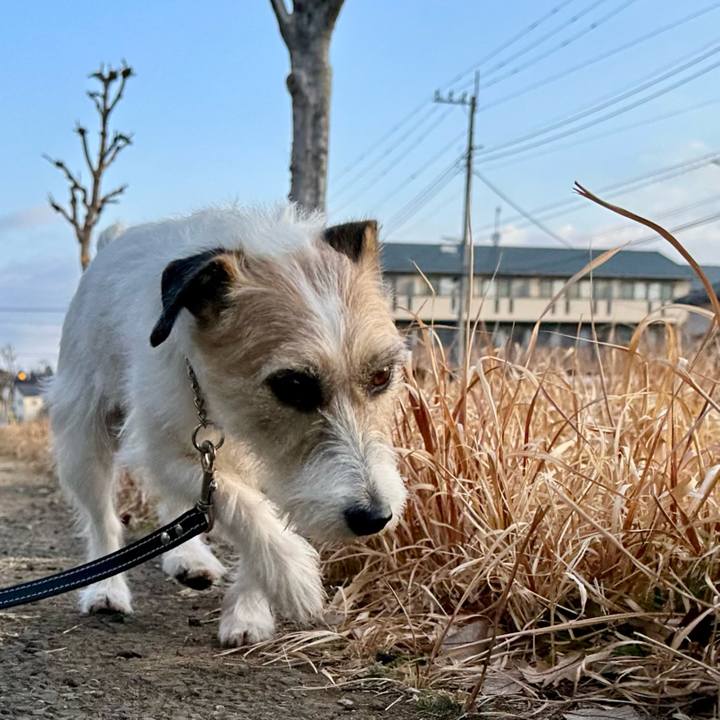 B9db7daa 9bbb 4e0d 9da5 82298a93567e 1739827002809