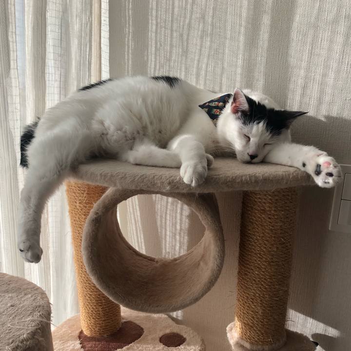 B9db8983 20dd 4bea 805a 62a664a5839b 1573987138384