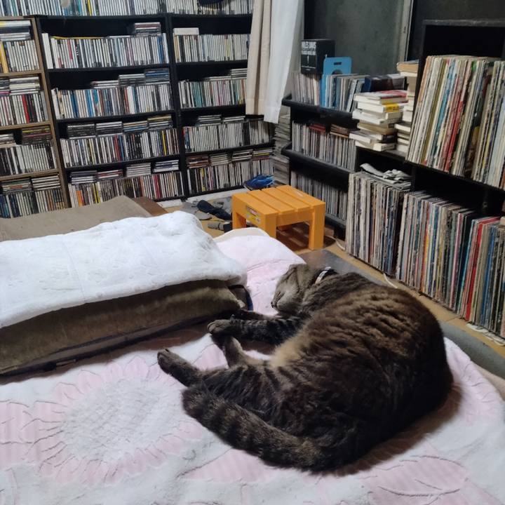 B9db91f4 cbe5 42aa 88c6 b6e1af9be5ff 1753357296602