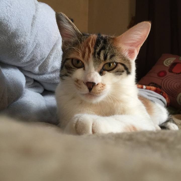 B9db9637 4c33 4ec6 9ec8 4e02774e1892 1639453883555