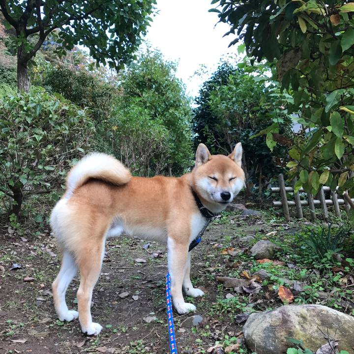 B9db98de 6e71 448e acfa d2721221f34f 1541228692364