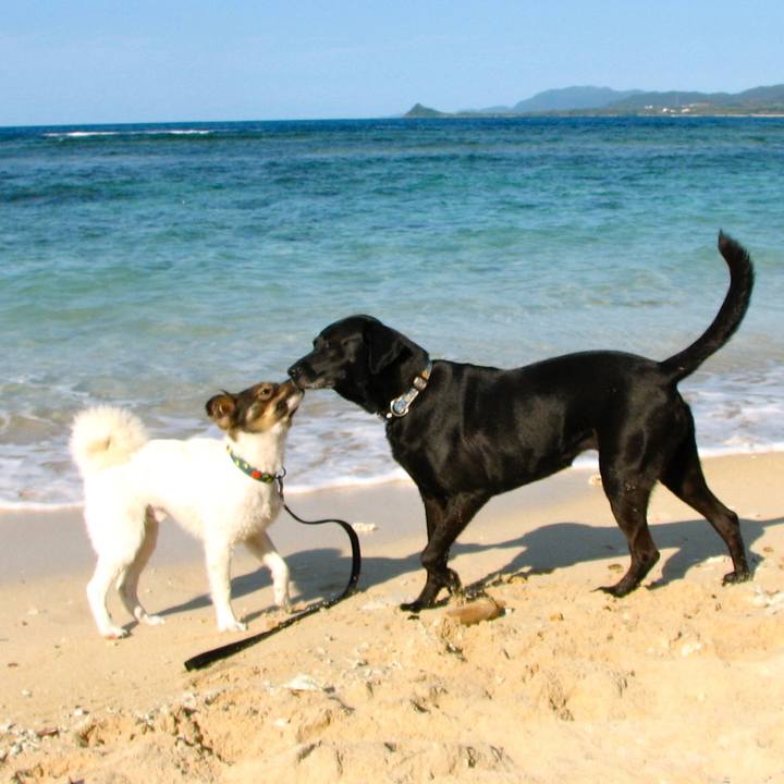 B9dbb965 aa85 4390 8c93 ca0184dcc3fb 1615441351364