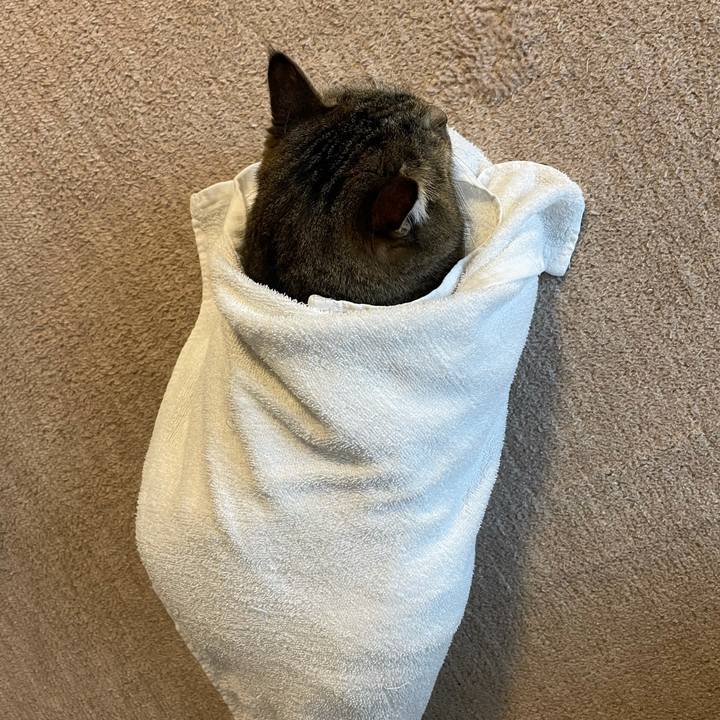 B9dbfc17 0ee3 45ca 806b 1ecefe6673a7 1616897646325