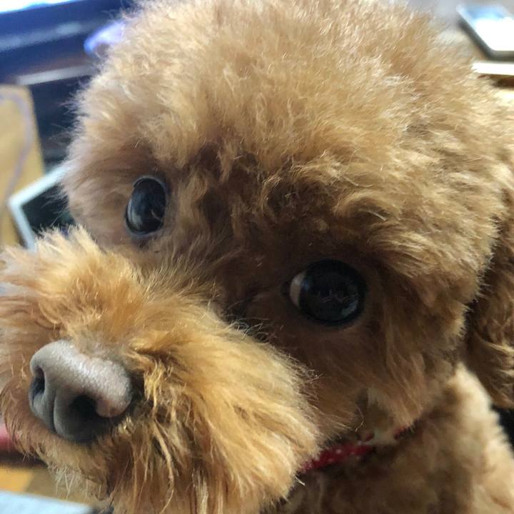 B9dbfee3 4e69 4951 bfc4 e7b52b090a06 1577604303540