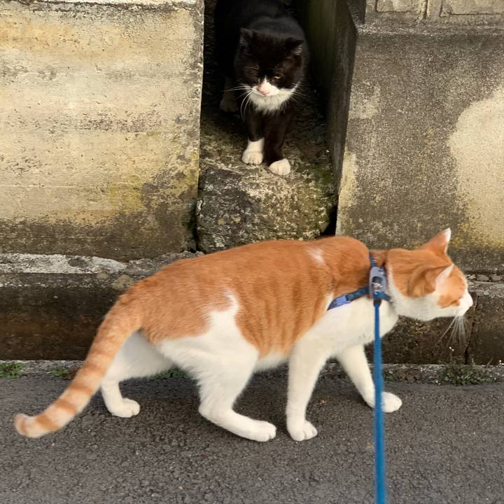 B9dc554b ad19 4042 8a5a 4bfb70763143 1582962100904