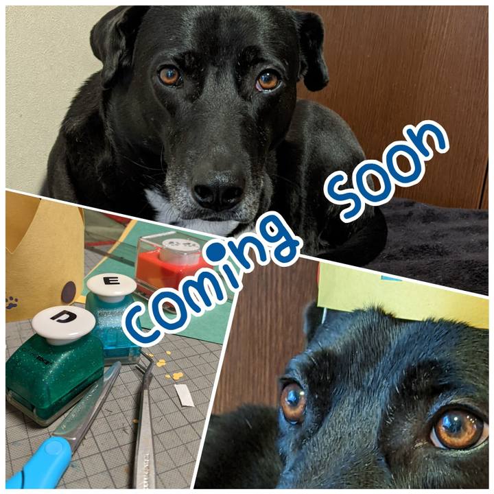 B9dc7621 2078 455b bd1b ea8807247654 1648710093053