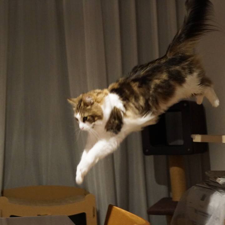 B9dc78d6 2088 41e2 b871 3e50087e51c7 1570286842493