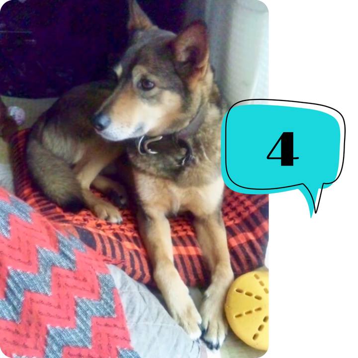 B9dc8d18 5378 47fc b458 729244be7b64 1556291106017