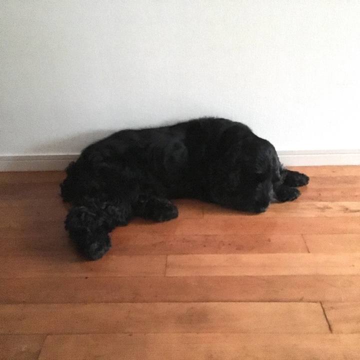 B9dd024c aea9 4185 8085 771d12f7d387 1530576536585