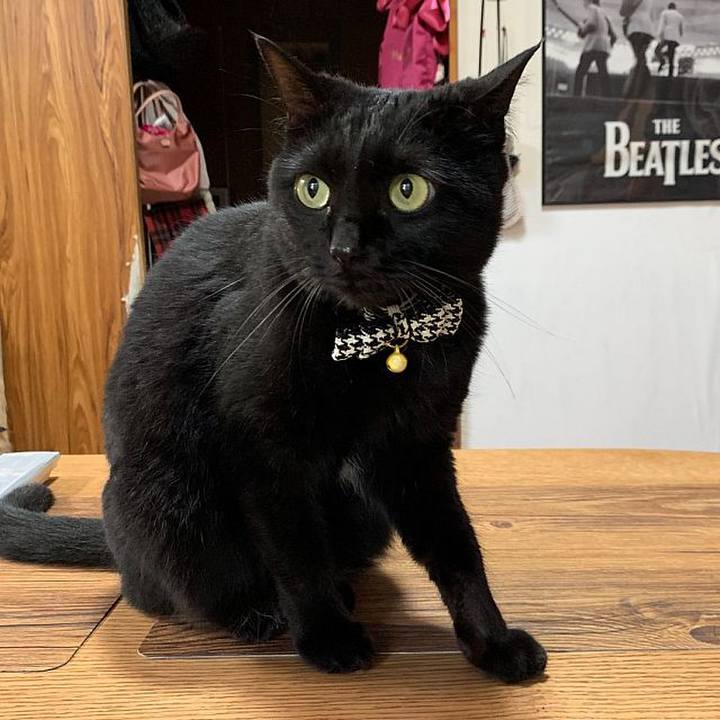 B9dd30b4 6867 45db 9bec 7e84d4b604fe 1562727861592