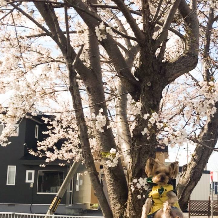 B9dd3ea7 26b5 487d a158 772b90809911 1651484370198