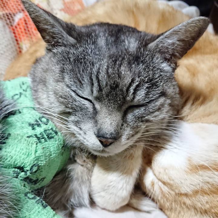 B9dd45ce dc42 4f0b 8aad b5086a750f0c 1587210794361