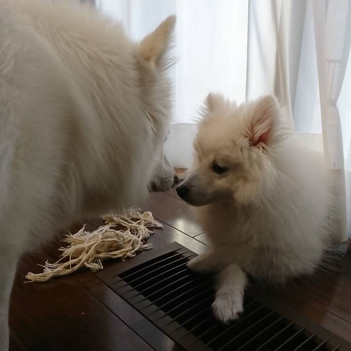 B9dd58c0 d298 4e97 a374 fde5826a3dd7 1550038690309