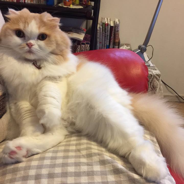 B9dd6001 53cd 4818 a079 29fcc82e4817 1536740111123