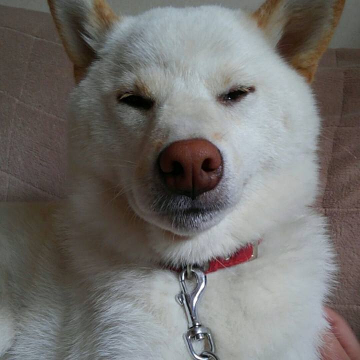 B9dda0a1 467e 4c48 b4f8 546118d7000d 1523562015605