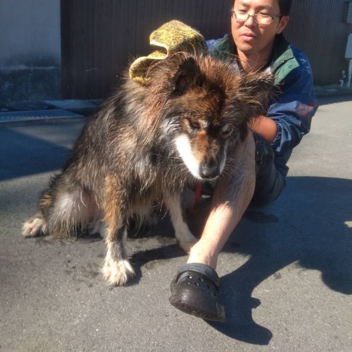 B9ddaff1 a317 40e0 a7f4 42ef978cd086 1636258805983