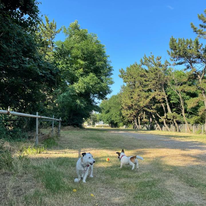 B9de0fa9 3631 4db5 9f0f f0764fe3bf48 1627252553438