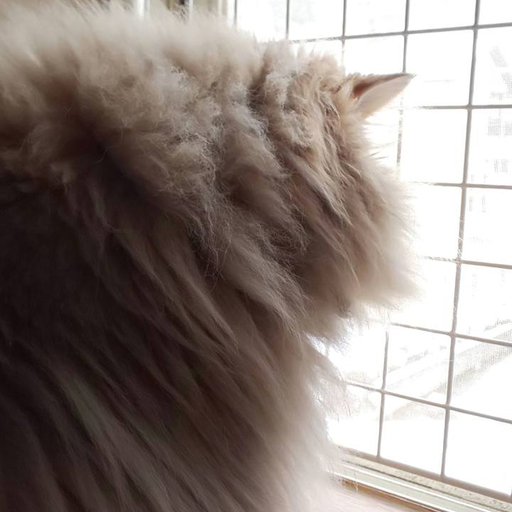 B9de37d6 48ee 4eb2 8294 5cc5ceccfe1e 1607994425742