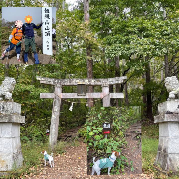 B9deb2ec 0f72 40a1 8082 048f63abdb09 1633854641177