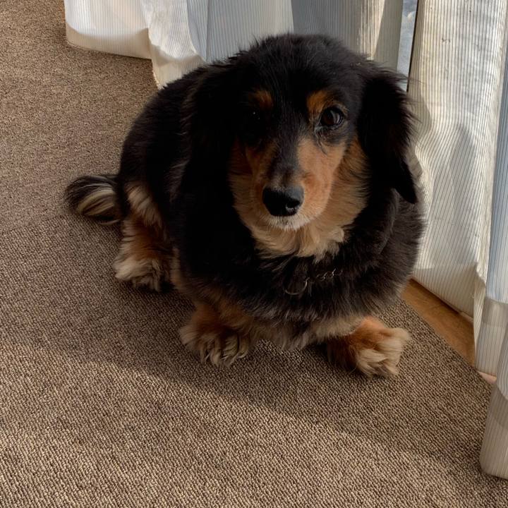 B9deba88 079f 4898 9bf8 417e30d8eb09 1557352608753