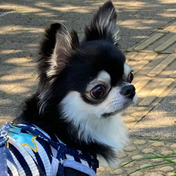 B9debfc9 deff 4c4b ba66 0e324f36881d 1653745205218