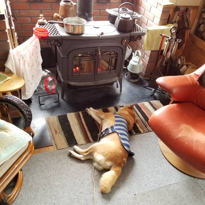 B9ded78c 73e9 4cff a1ec 959f3d7482fe 1581642106763