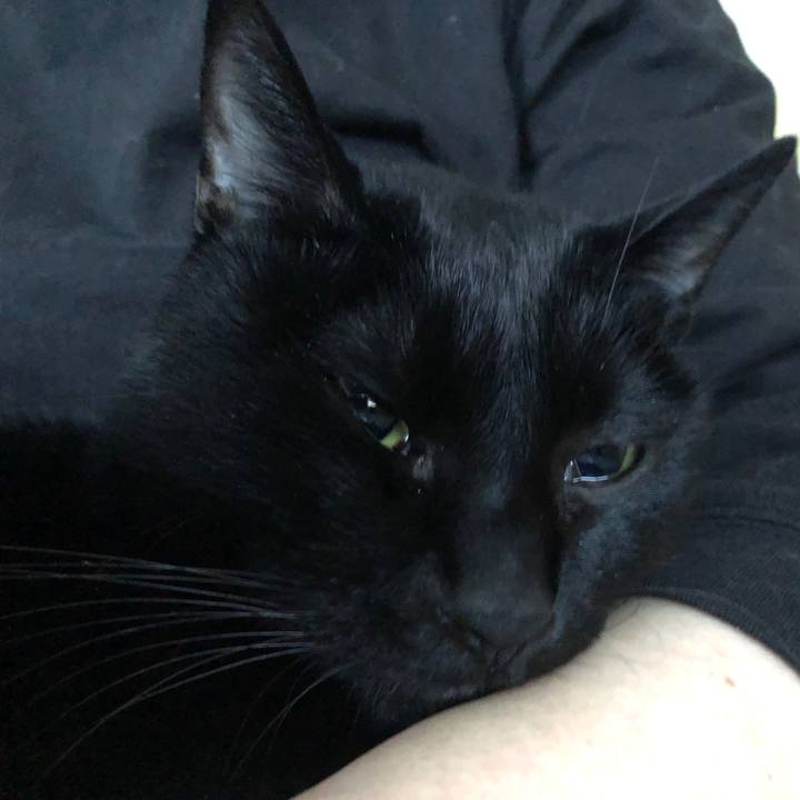 B9ded82d 1140 4fa5 aa74 07df7144beb1 1671920737377