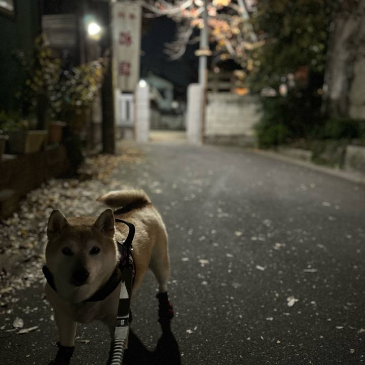 B9dee53d e324 4552 9fff 072e7be158d4 1734435664962