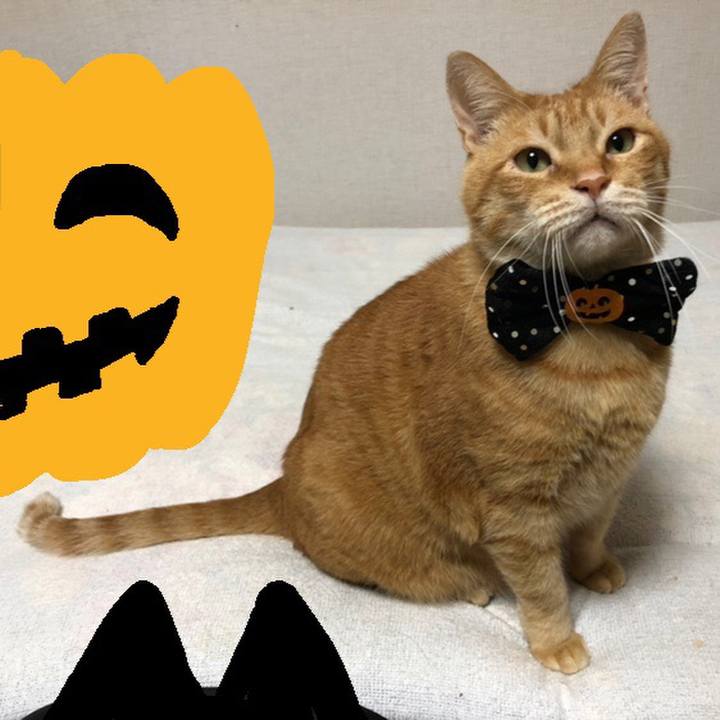 B9dfc461 e441 49ca 837c af77da5f202b 1603970338629