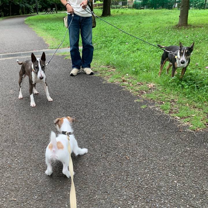 B9dfe80c 4e35 4a32 84b5 c6933bda8c02 1562409724882