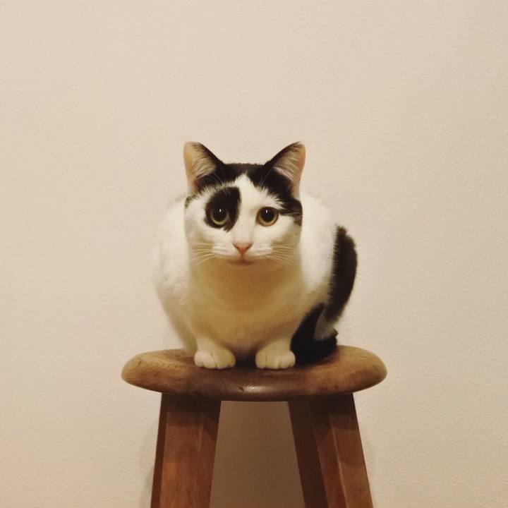 B9e0596d f07a 4309 b736 ab2e711c30ff 1516891523075