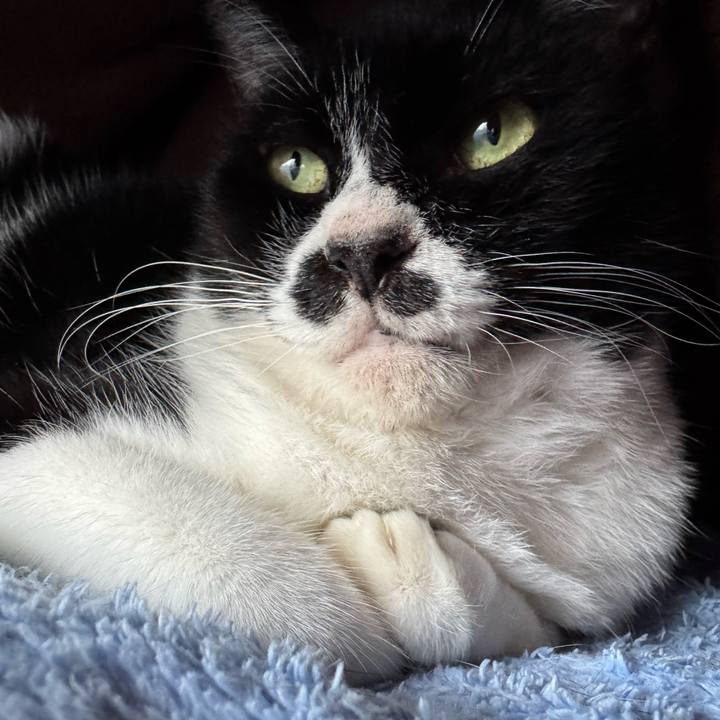 B9e0a55c 2130 4a04 803e 960f022c9373 1762559330921